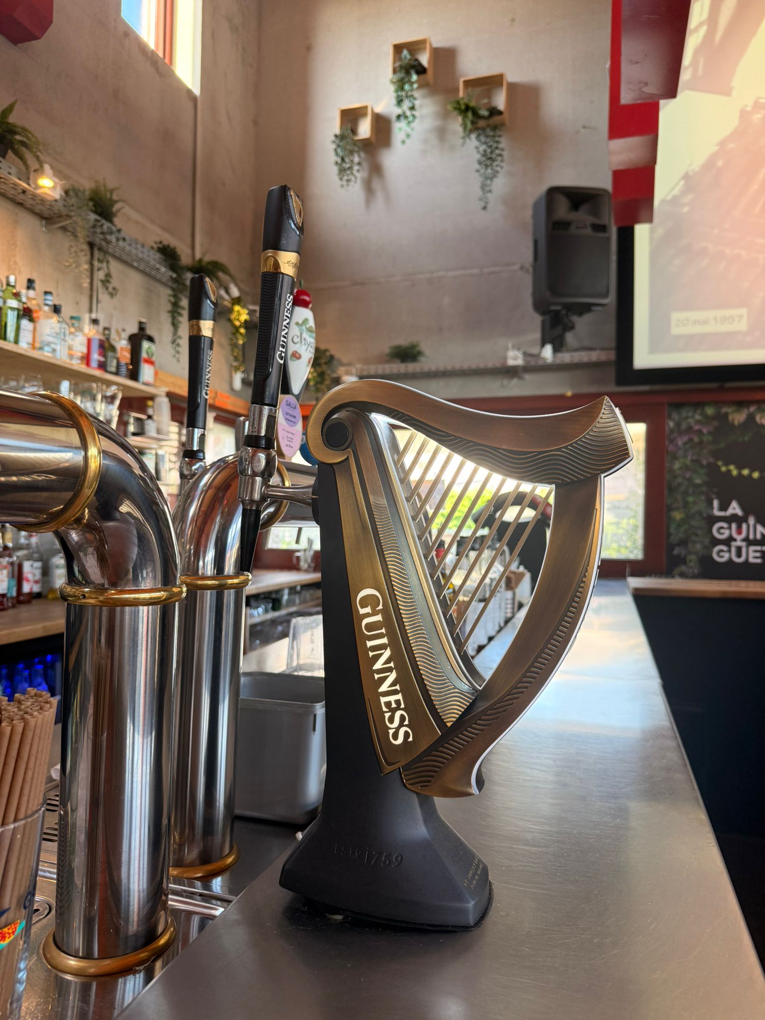 Bar — Guinness à la pression